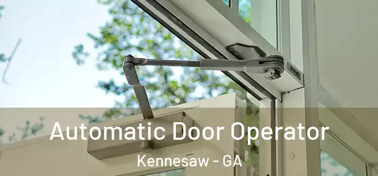 Automatic Door Operator Kennesaw - GA